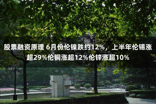 股票融资原理 6月份伦镍跌约12%，上半年伦锡涨超29%伦铜涨超12%伦锌涨超10%