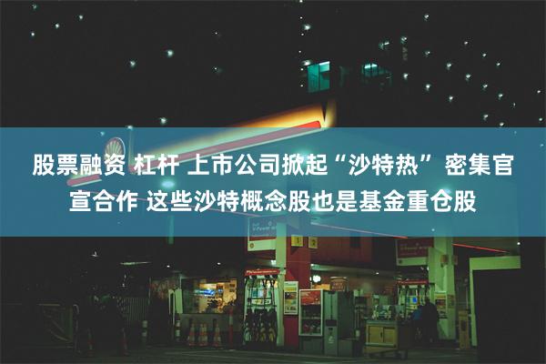 股票融资 杠杆 上市公司掀起“沙特热” 密集官宣合作 这些沙特概念股也是基金重仓股