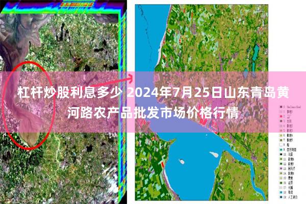 杠杆炒股利息多少 2024年7月25日山东青岛黄河路农产品批发市场价格行情