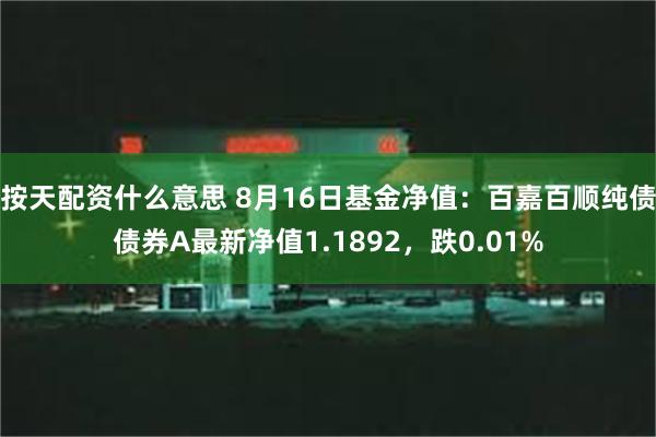 按天配资什么意思 8月16日基金净值：百嘉百顺纯债债券A最新净值1.1892，跌0.01%