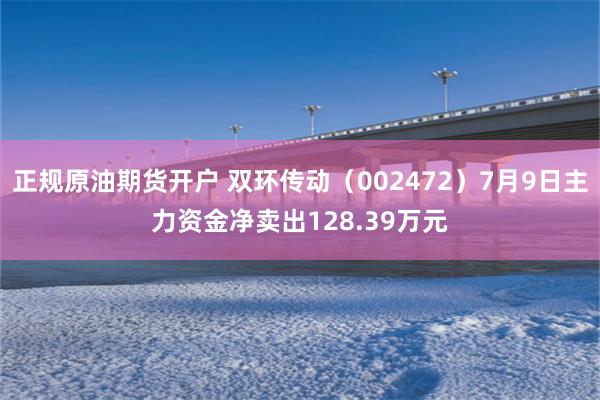 正规原油期货开户 双环传动（002472）7月9日主力资金净卖出128.39万元