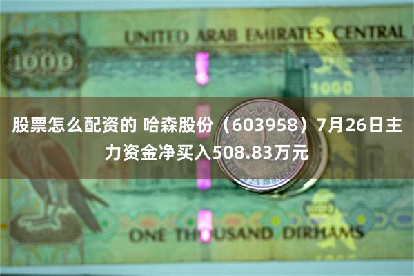 股票怎么配资的 哈森股份（603958）7月26日主力资金净买入508.83万元