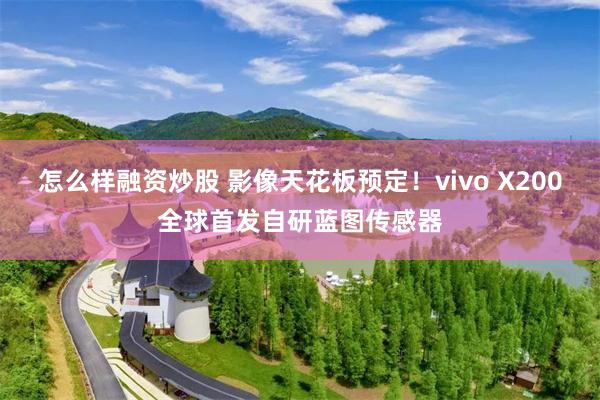 怎么样融资炒股 影像天花板预定！vivo X200全球首发自研蓝图传感器