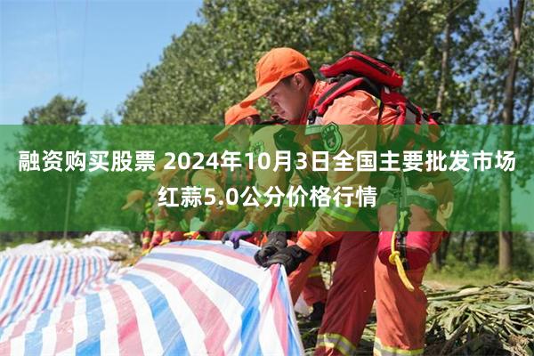 融资购买股票 2024年10月3日全国主要批发市场红蒜5.0公分价格行情