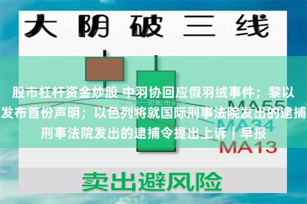 股市杠杆资金炒股 中羽协回应假羽绒事件；黎以停火后，黎真主党发布首份声明；以色列将就国际刑事法院发出的逮捕令提出上诉｜早报