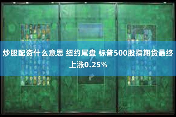 炒股配资什么意思 纽约尾盘 标普500股指期货最终上涨0.25%