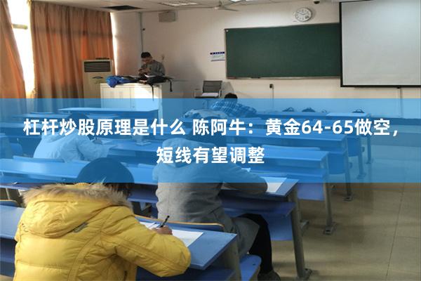 杠杆炒股原理是什么 陈阿牛：黄金64-65做空，短线有望调整