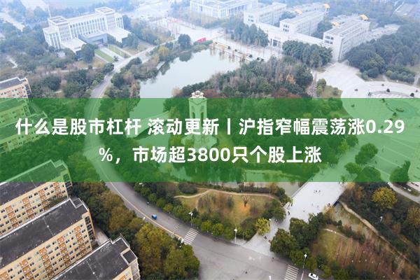 什么是股市杠杆 滚动更新丨沪指窄幅震荡涨0.29%，市场超3800只个股上涨