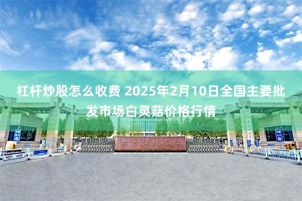 杠杆炒股怎么收费 2025年2月10日全国主要批发市场白灵菇价格行情