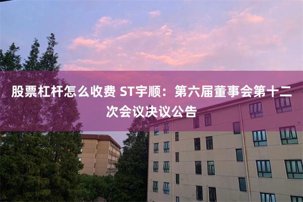 股票杠杆怎么收费 ST宇顺：第六届董事会第十二次会议决议公告