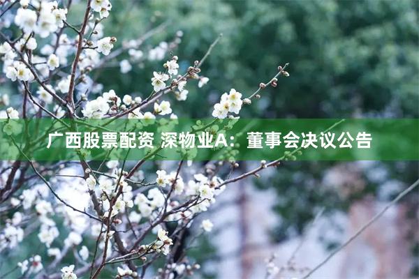 广西股票配资 深物业A：董事会决议公告